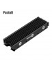 Pastall  Computer heat sinks M.2 2280 SSD heatsink, Double-Sided Heat Sink, with Thermal Silicone pad for PC / PS5 M.2 PCIE NVMe SSD or M.2 SATA SSD