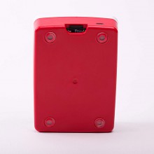 PT21004 Raspberry Pi Pi 4 Official Case (Copy)